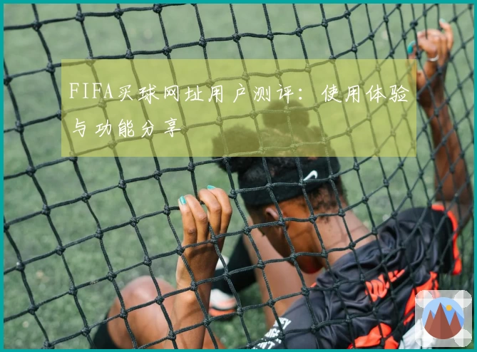 FIFA买球网址用户测评：使用体验与功能分享