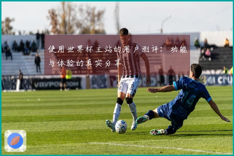 使用世界杯主站的用户测评：功能与体验的真实分享