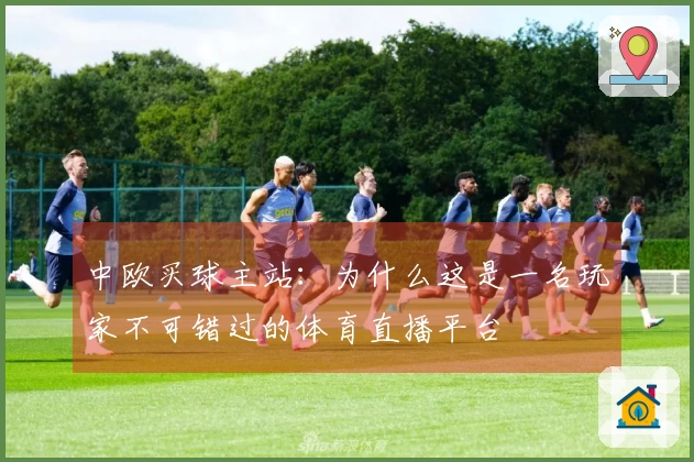 中欧买球主站:为什么这是一名玩家不可错过的体育直播平台